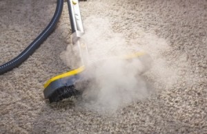 carpet cleaning 2