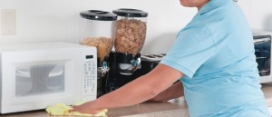 domestic clean1